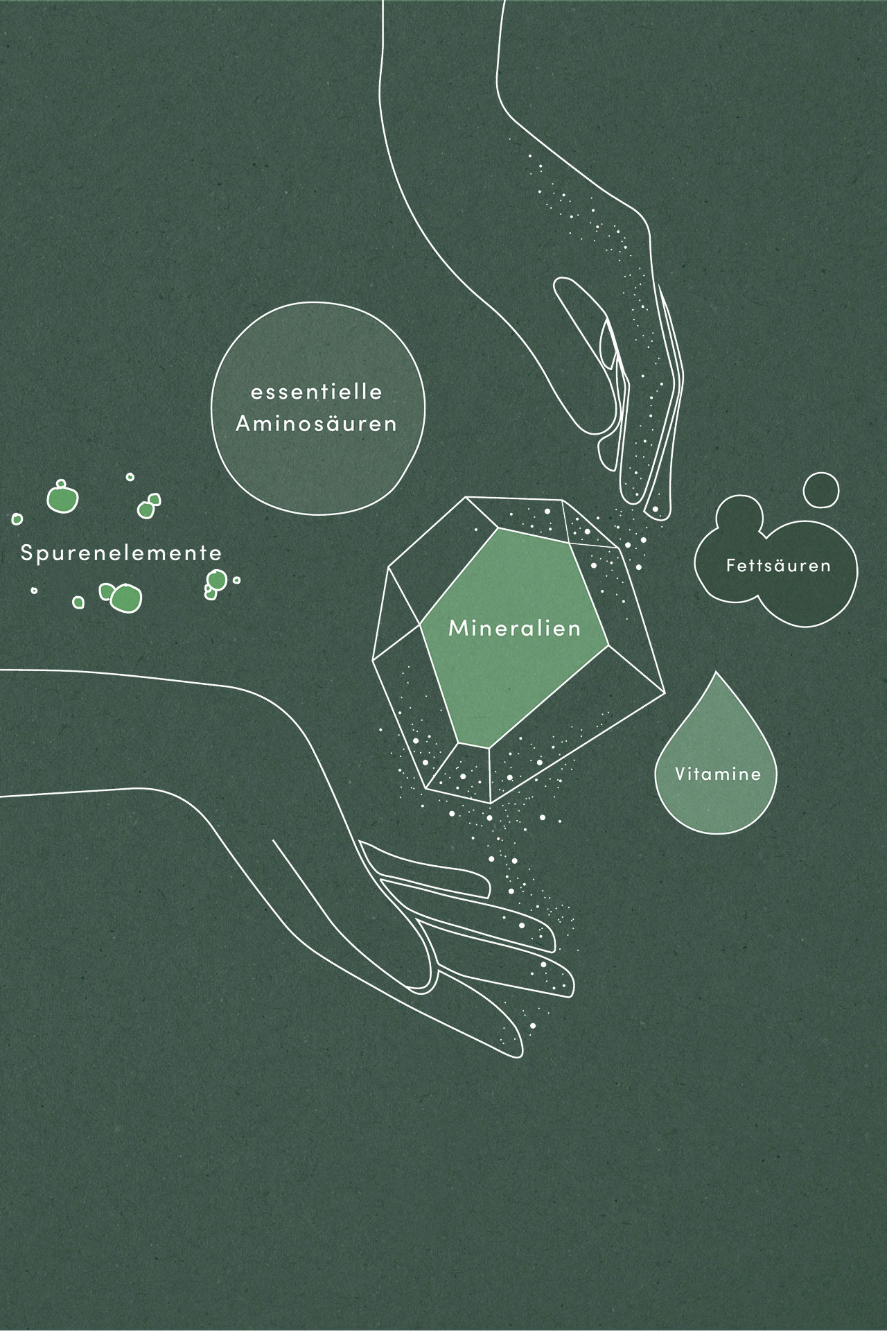 Zwei Hände halten einen Edelstein mit Mineralien und Texten zu Vitaminen, Fettsäuren, und Aminosäuren. DAYAHEALTH.