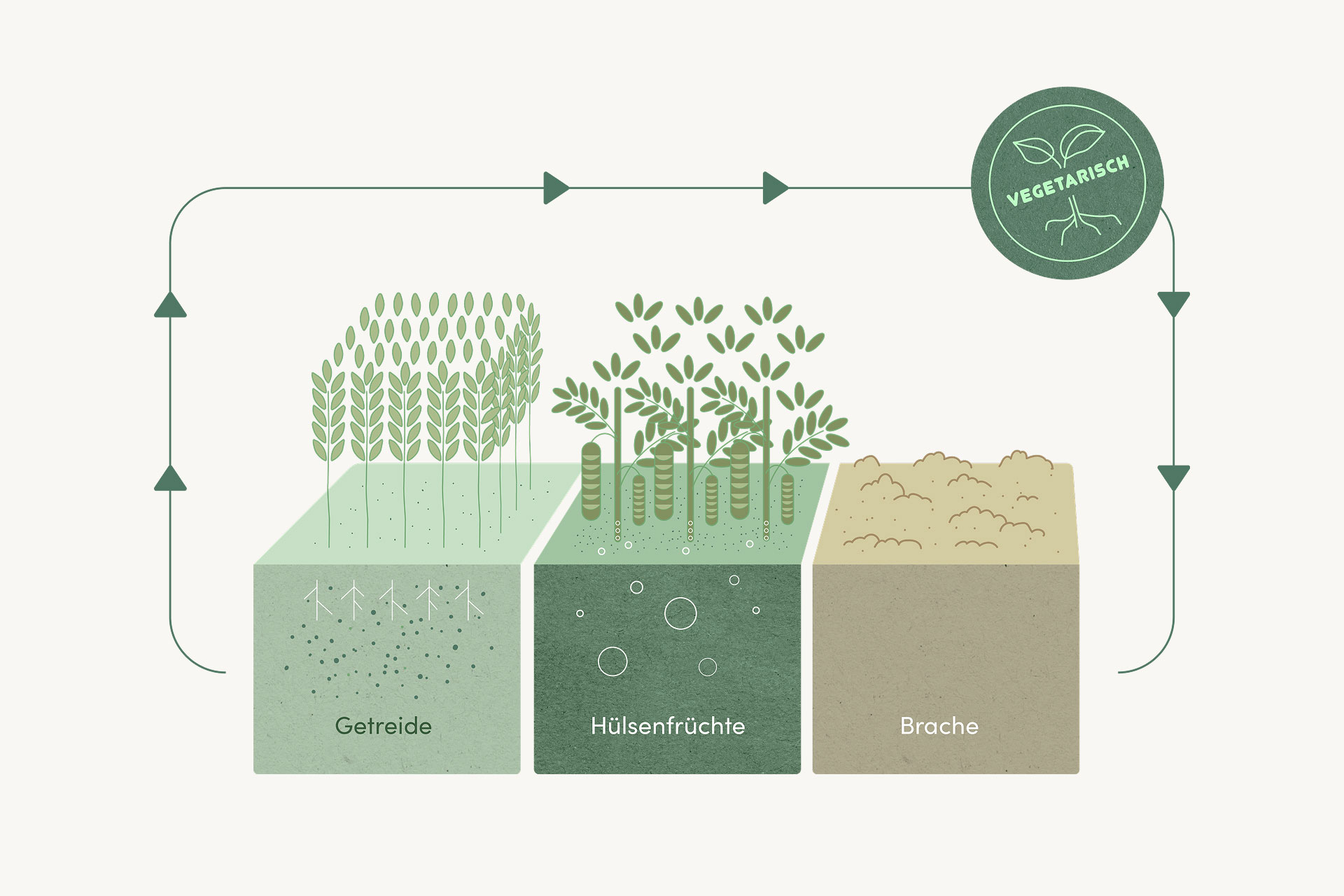 Illustration von Pflanzen: Getreide, Hülsenfrüchte, Brache - DAYAHEALTH