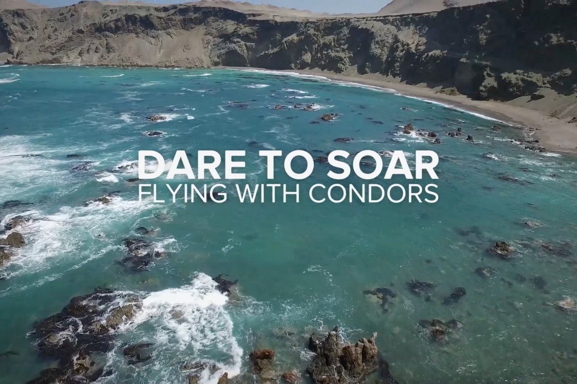 Aerial view of ocean and cliffs, text overlays 'Dare to Soar Flying with Condors'.