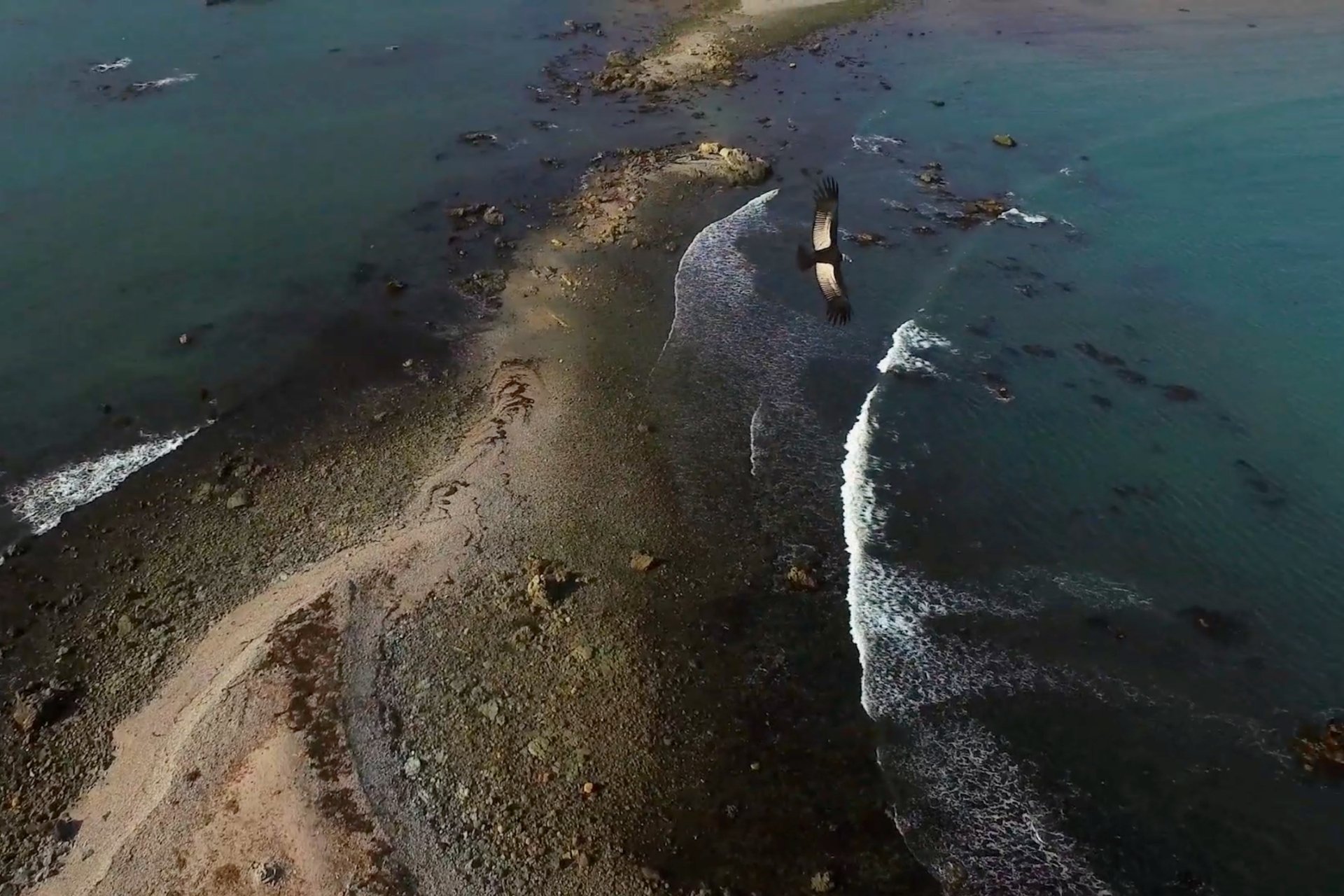 Küstenlinie mit Wellen und Steinen, Farmhouse7